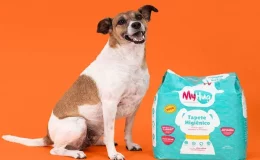 cachorro ao lado do tapete higiênico myhug