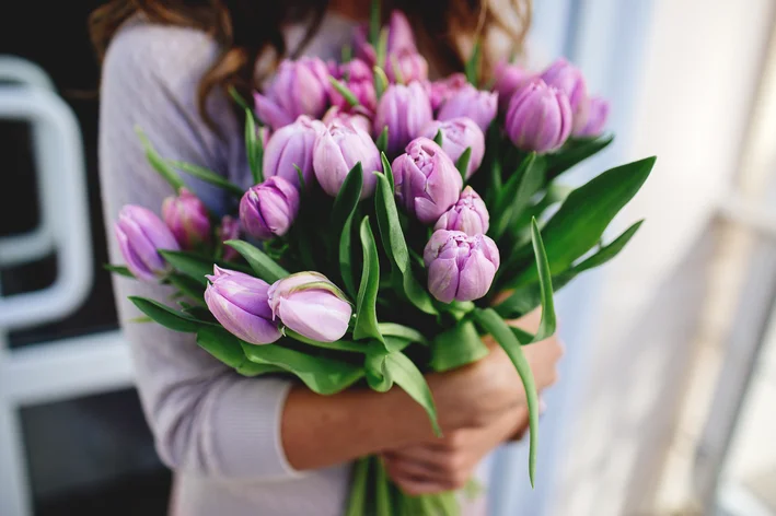buquê de tulipas roxas