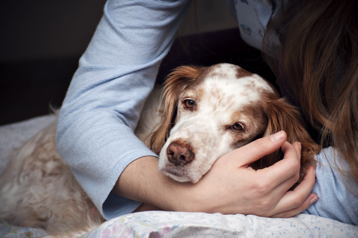 Descubra qual remédio pode dar para cachorro com dor | Blog da Cobasi