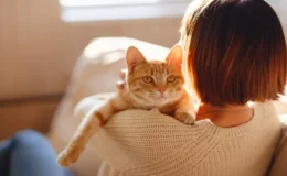 tutora fazendo carinho em seu gato