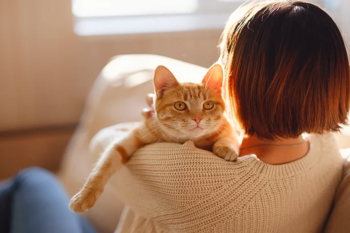 tutora fazendo carinho em seu gato