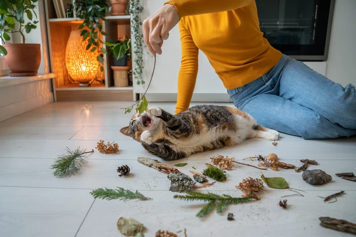 Tutora comemorando o Dia Internacional do Gato