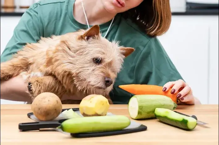 cachorro pode comer batata sem casca