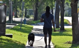 homem levando cachorro para passear