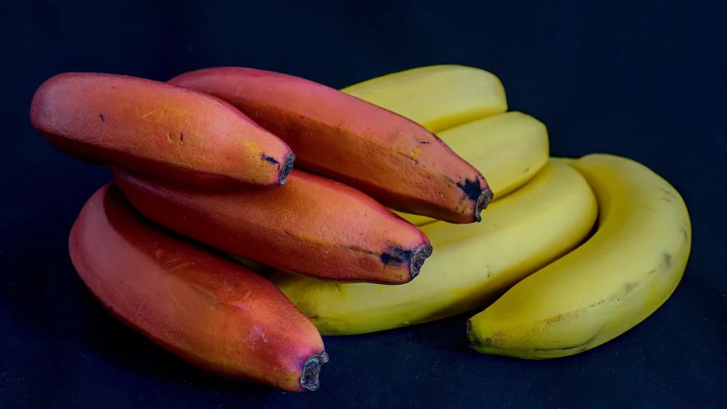 banana roxa e banana nanica