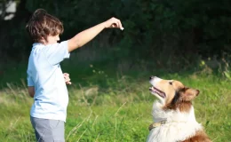 garoto em pé oferece petisco para cachorro para fazer adestramento positivo