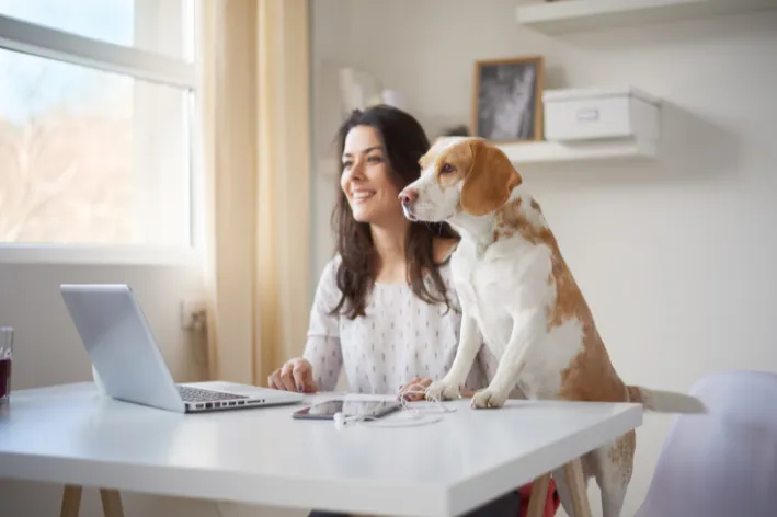 Mulher usa o computador com cachorro da raça beagle ao lado