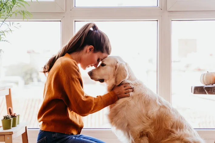 amor entre tutor e cão