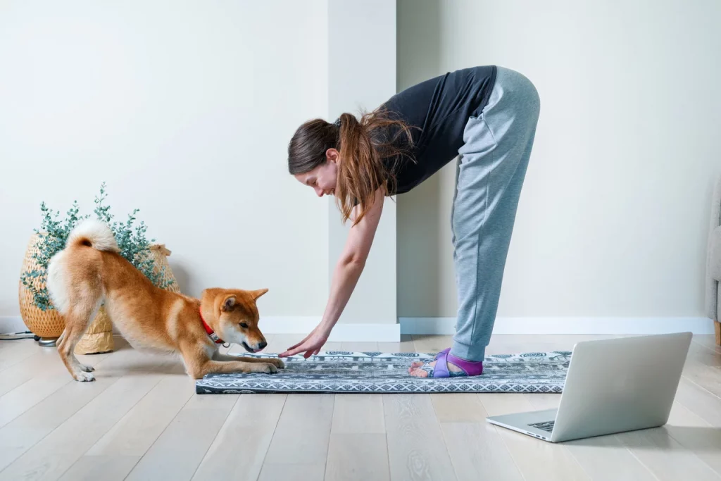 Yoga pra cachorro como funciona