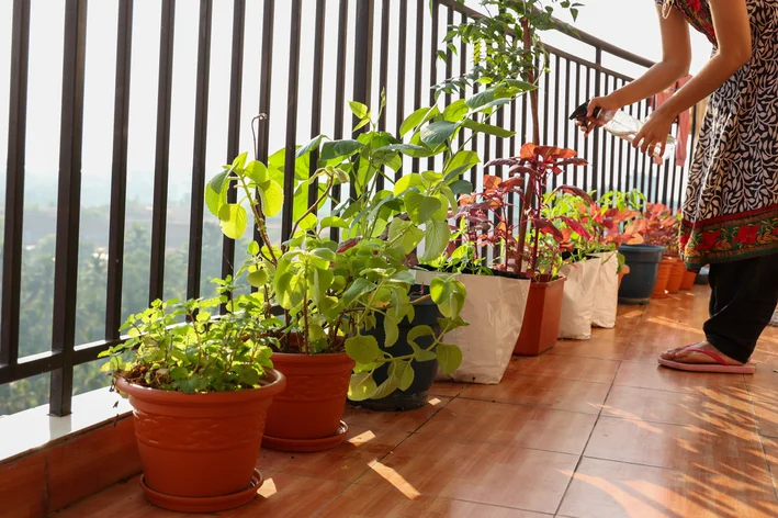 vasos com plantas na varanda