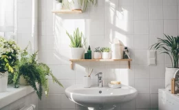 plantas para banheiro