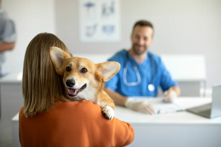 pet em veterinário