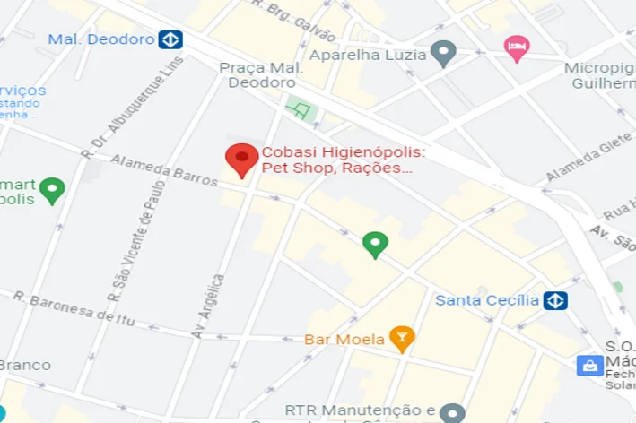Mapa endereço Cobasi Higienópolis