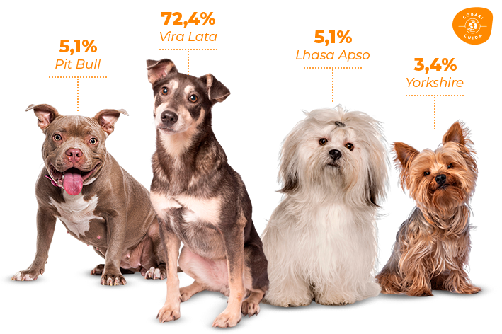 gráfico cachorros devolvidos por raça