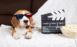 filme de cachorro