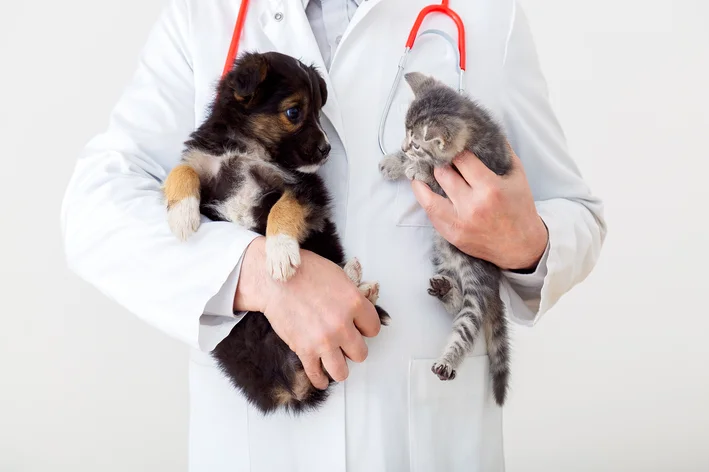 veterinário segurando cachorro e gato e oferecendo Dermotrat Creme