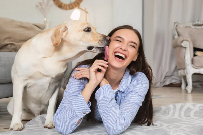 porque os cachorros lambem os donos