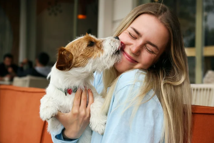 porque cachorros lambem os donos