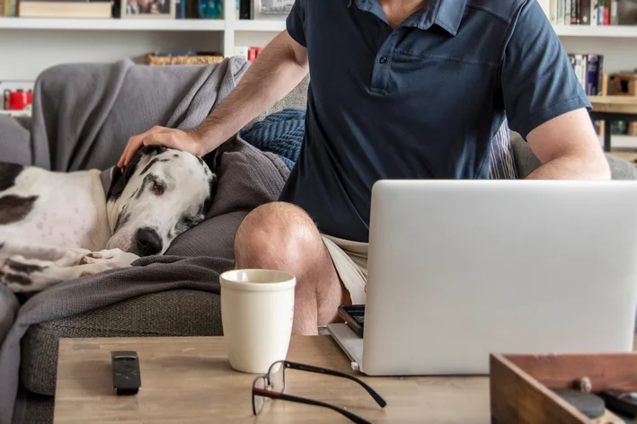 Como você verifica a saúde do seu pet?