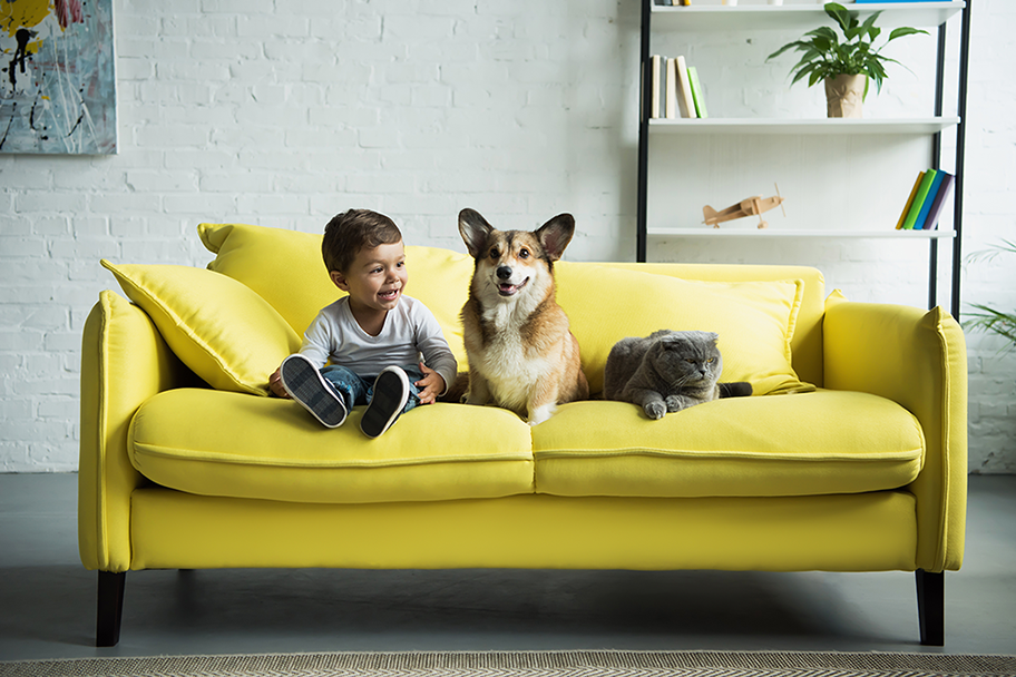 Criança e cachorro em sofá amarelo com lenço umidecido