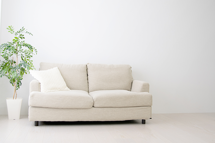 Sala com sofá branco e vaso de planta ao lado