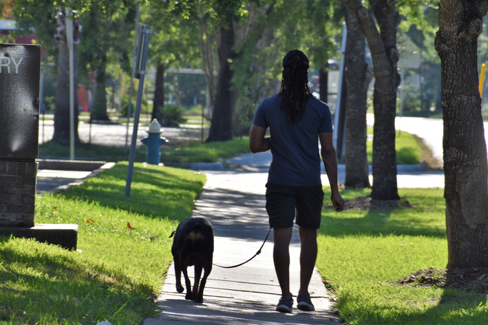 Você se imagina passeando ou praticando atividade física com seu cão?