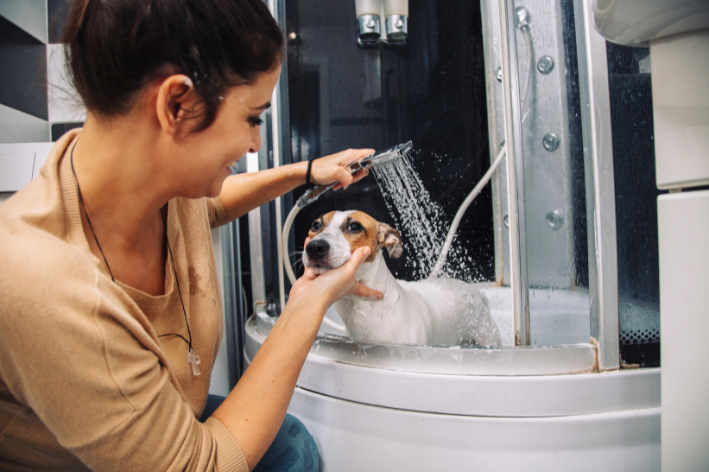 Com qual frequência você dá banho no seu cachorro?