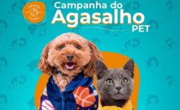 campanha do agasalho pet gato e cão 2024
