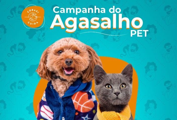 campanha do agasalho pet gato e cão 2024