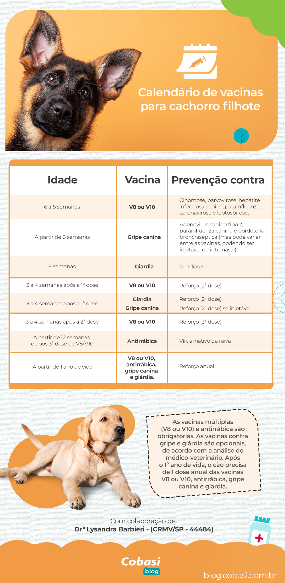 calendário de vacinação em cachorro filhote