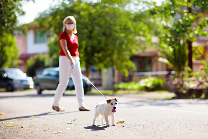 Mulher passeia com cachorro na rua