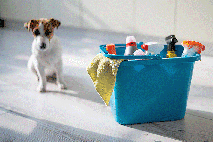 Cachorro com balde e produtos de limpeza