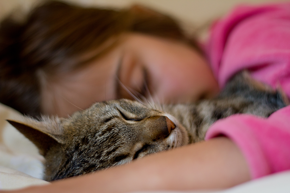 garota dorme com seu gatinho