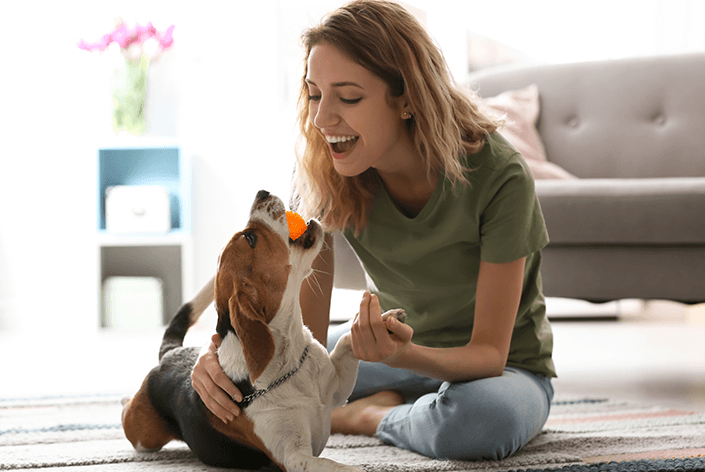 Mulher brincando com um beagle filhote