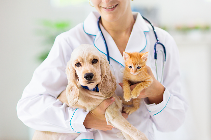 Médica veterinária de plano de saúde pet com cachorro e gato no colo e estetoscópio no pescoço