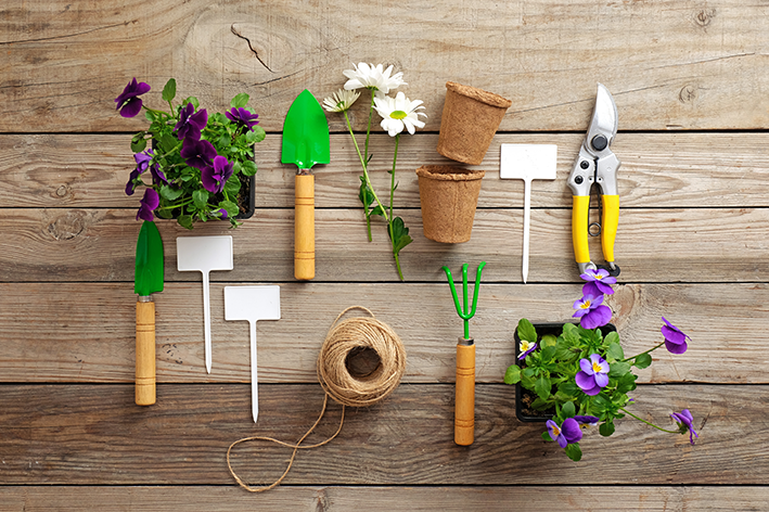 kit de jardinagem completo