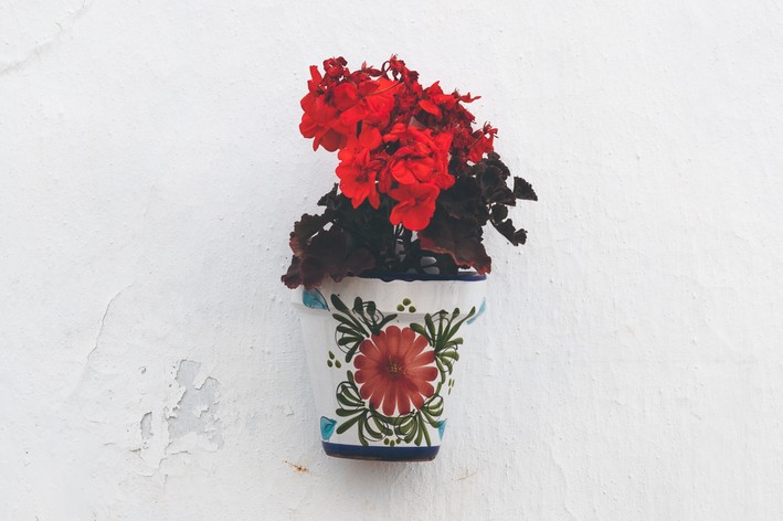 vaso suspenso decorado colorido combinando com flor vermelha