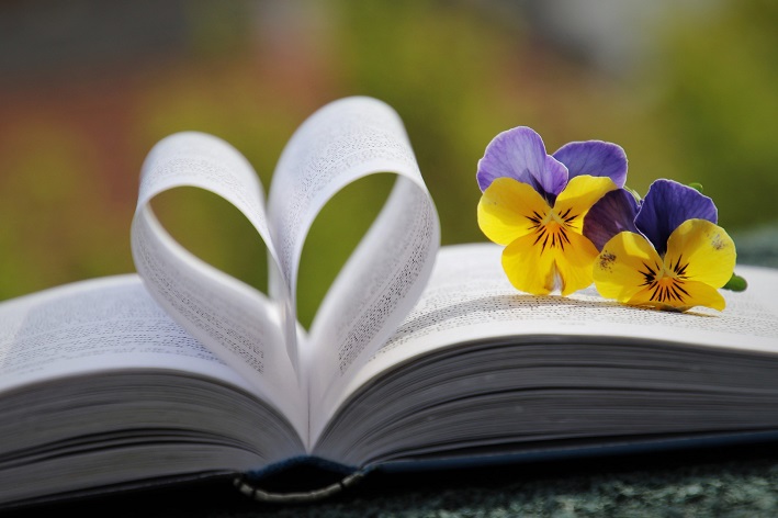 flor amor perfeito e livro