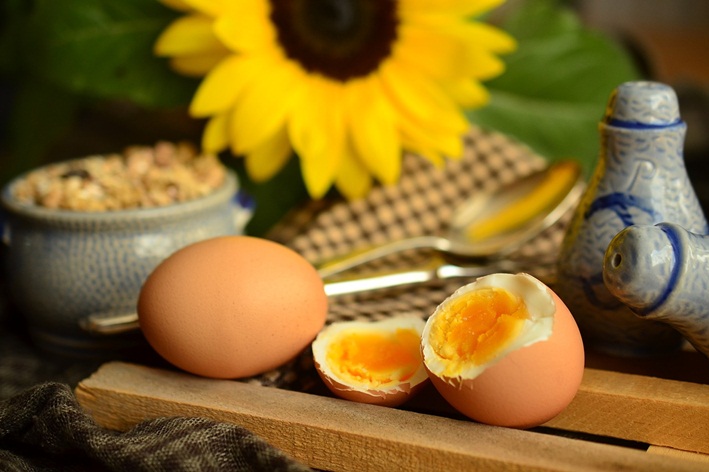 calopsita pode comer ovo cozido