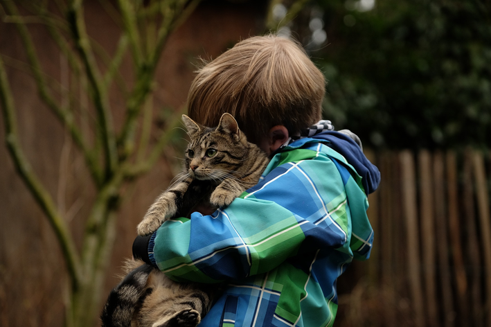 Garoto abraça gatinho adotado em feira de adoção