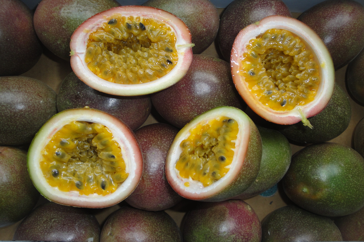 frutas tropicais brasileiras