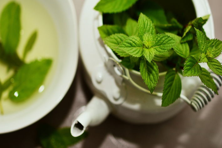 Plantas para chá: quais são as mais conhecidas e os seus benefícios