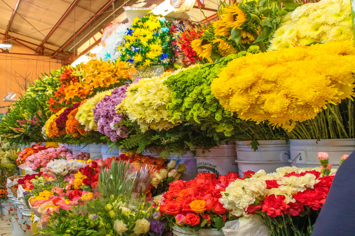 Flores online: compre com praticidade e economia