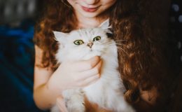 alergia a pelo de gato. mulher fazendo carinho em felino no colo
