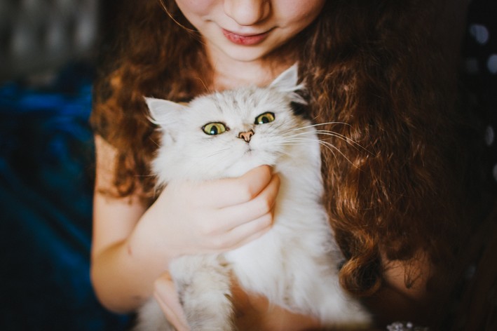 alergia a pelo de gato. mulher fazendo carinho em felino no colo