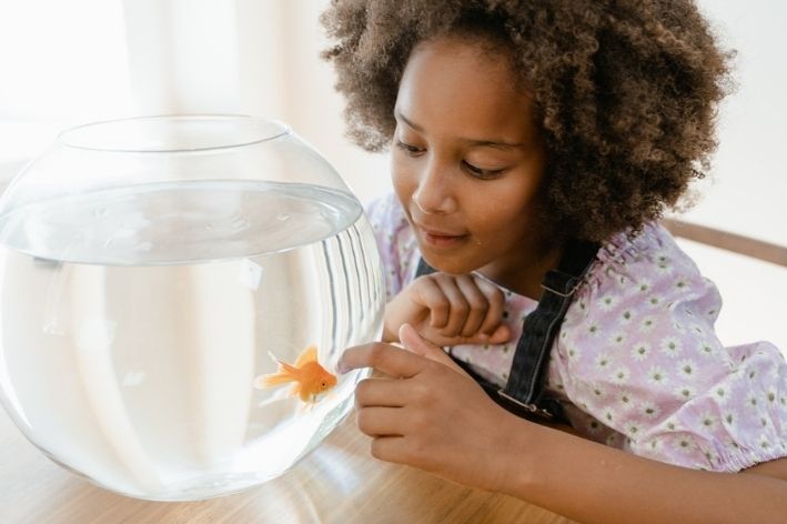 aquarioterapia autismo crianças