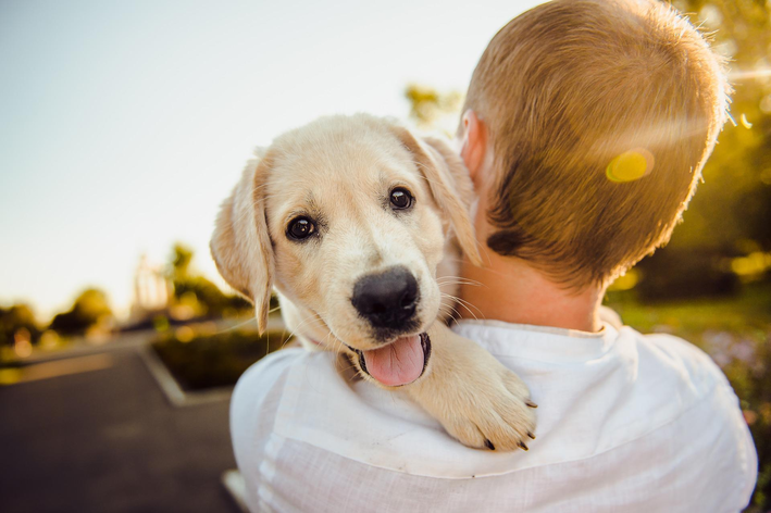 cachorro feliz no ombro do seu dono indo comprar Ração Premium