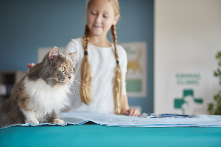 menina ao lado do gato no veterinario