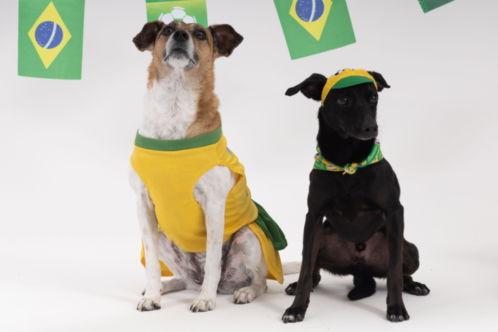 nomes de cachorro inspirados na Copa do Mundo