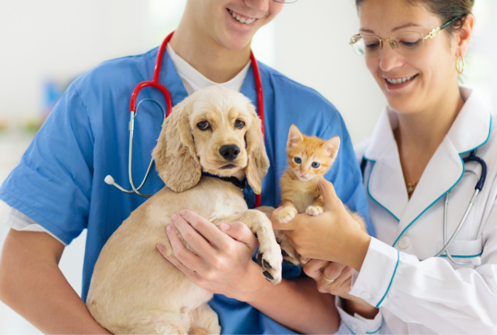 quando-levar-pet-no-veterinario (2)